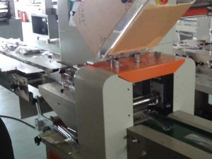 Wooden Forks Packing Machine