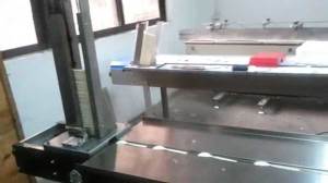 Automatic-Feeding-Wooden-Spoon-Packing-Machine
