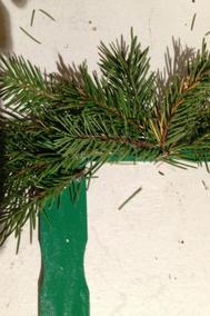 Paint stick evergreen wreaths 