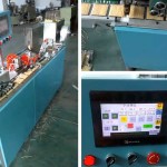 Full Automatic Toothpicks Bagging Machine