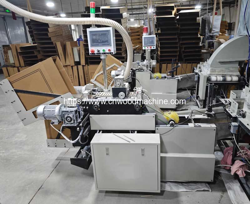 Automatic Ice Cream Stick Dust Cleaning Counting and Box Filling Machine with Box Changer